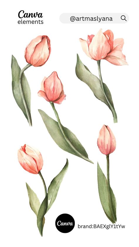 Watercolor realistic tulips by artmaslyana on Letterhead Design Inspiration, Watercolor Realistic, Tulip Watercolor, Canva Pro Elements, Flower Shop Design, Keyword Elements Canva, Watercolor Flowers Tutorial, Watercolor Tulips, Canvas Learning