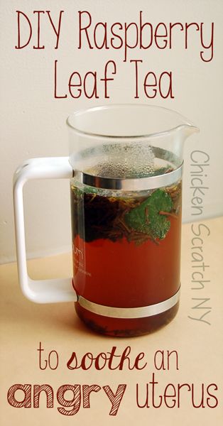 Angry Uterus, Raspberry Leaf Tea, Raspberry Leaf, Raspberry Tea, Healing Tea, Herbal Teas Recipes, Tea Diy, Herb Tea, Chicken Scratch