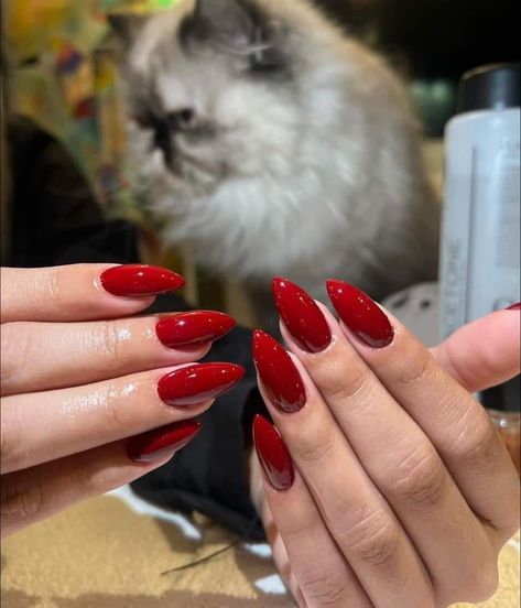 Plain Red Almond Nails, Almond Long Red Nails, Scarlett Red Nails, Long Nails Colors, Red Gel X Nails Almond, Red Nails Bright, Red Nails Plain, Bright Summer Almond Nails, Red Nails Inspo Almond