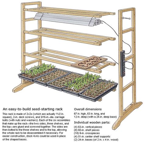 Nurture Seedlings on a Tiered Growing Stand - FineGardening Pruning Hydrangeas, Indoor Vegetables, Indoor Vegetable Gardening, Greenhouse Plans, Fine Gardening, Hydroponic Gardening, Mosaic Garden, Veggie Garden, Seed Starting