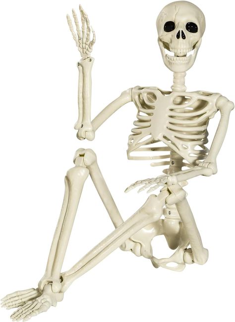 XONOR Halloween Skeleton Full Body Posable Joints Skeletons, 3ft Human Skeleton Decorations for Halloween Party Haunted House Supplies (1pc) Life Size Skeleton, Posable Skeleton, Haunted House Halloween Party, Skeleton Body, Halloween Skeleton Decorations, Skeleton Model, Plastic Skeleton, Haunted House Props, Human Bones