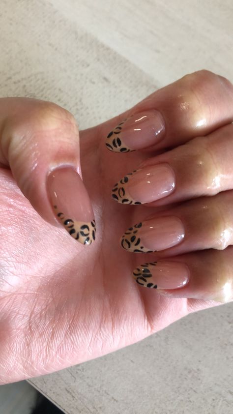 Aesthetic Nails Acrylic Fall, Coffin Leopard Nails, Country Concert Nails, Aesthetic Nails Acrylic, Nails Acrylic Fall, Oval Acrylic Nails, Concert Nails, Nails Oval, Cheetah Nails