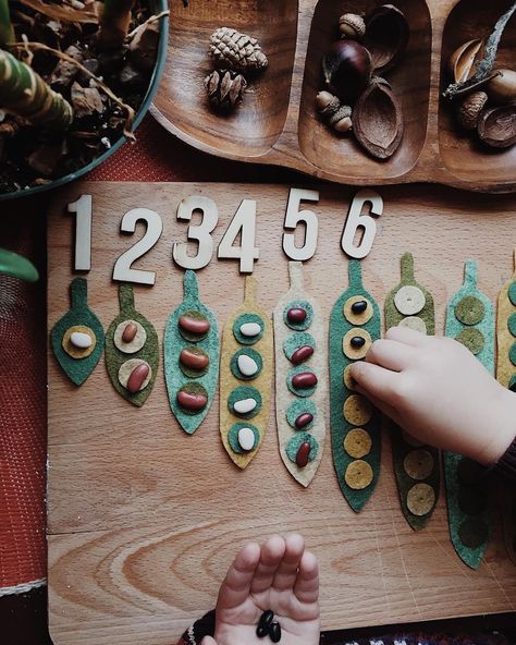 Reggio Inspired Classrooms, Reggio Classroom, Nature School, Montessori Math, Seed Pod, Math Time, Number Recognition, Simple Math, Montessori Toddler