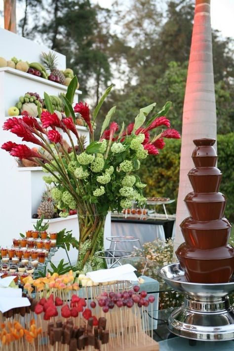 Food Table Display Ideas, Chocolate Fondue Bar, Food Table Display, Chocolate Fountain Wedding, Chocolate Fountain Bar, Table Display Ideas, Chocolate Fountain Recipes, Wedding Food Table, Food Display Table