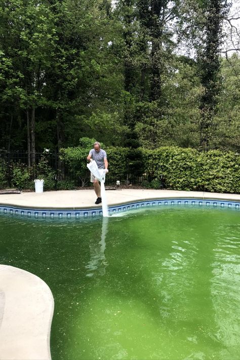 "If your pool has a bad habit of turning green in the most inopportune times, then there’s probably something more going on than just a lack of chlorine..." #whyismypoolgreen Pools Inground, Pool Cleaning Tips, Pool Pumps, Swimming Pool Maintenance, Swimming Pool Cleaning, Above Ground Pools, Ground Pools, Pool Pump, Pool Maintenance