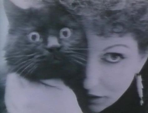 zero focus Maya Deren, A Cat, New York Times, Black Cat, New York, Black And White, Black