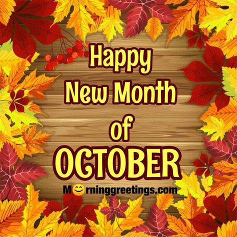 40 Great October Morning Wishes - Morning Greetings – Morning Quotes And Wishes Images Happy New Month October Quotes, October Images, Happy October 1st, October Pictures, New Month Wishes, October Month, October Morning, October Quotes, Easy Homemade Christmas Gifts