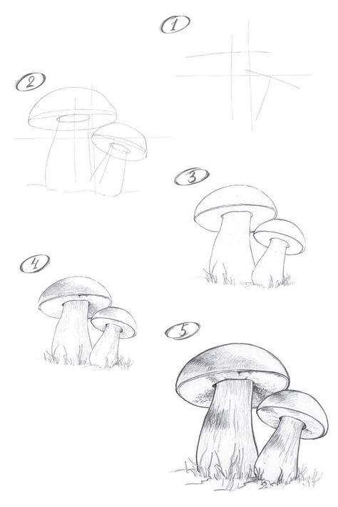 Learn to draw a mushroom with step-by-step tutorial: https://youtu.be/r6slYytXVcg Draw A Mushroom, Pencil Drawings For Beginners, Pencil Drawing Tutorials, Sketches Art, Mushroom Drawing, Drawing Step, Pencil Drawings Easy, The Mushroom, Drawing For Beginners