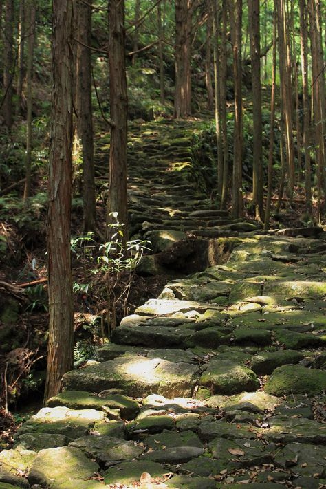 Kumano Kodo is a set of ancient trails stretching across the mountainous area in Kii Peninsula (west part of Japan). Medieval Japan Aesthetic, Ancient Japan Aesthetic, Tpn Oc, Kumano Kodo, Hashirama Senju, Medieval Japan, Japanese Mountains, Inktober 2024, Ancient Japan