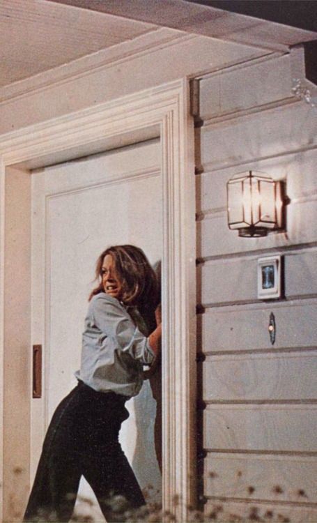 Jamie Lee Curtis in Halloween (1978) Halloween Franchise, John Carpenter Halloween, Halloween 1978, Janet Leigh, Halloween Film, Slasher Film, Slasher Movies, Lee Curtis, The Boogeyman