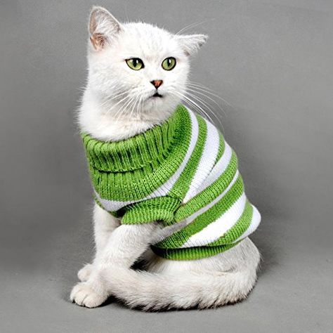 Cat Sweater Knitting Pattern, Cat Sweater Pattern, Kitty Sweater, Kitten Clothes, Chat Diy, Cold Weather Dogs, Cat Sweater, Knitted Cat, Striped Cat