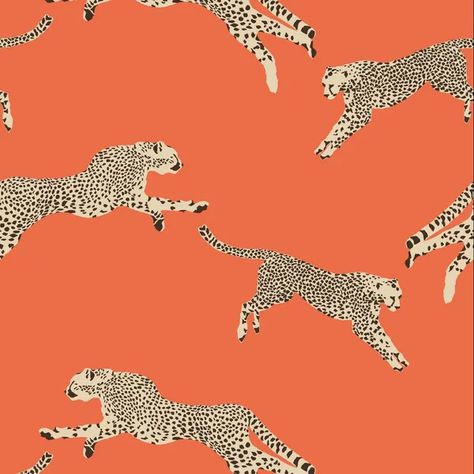 Scalamandre Fabric, Animal Print Wallpaper, Wallpaper For Sale, W Wallpaper, Contemporary Wallpaper, Scale Design, Cheetahs, Cole And Son, Accent Wallpaper