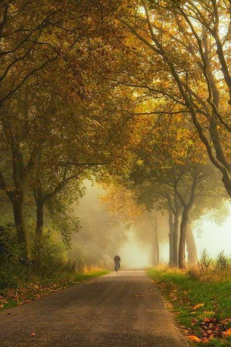 Autumn (no location given) by Marc Dirt Road, Autumn Scenery, Autumn Beauty, Pics Art, In The Woods, Land Scape, Beautiful World, Floral Painting, Mother Nature