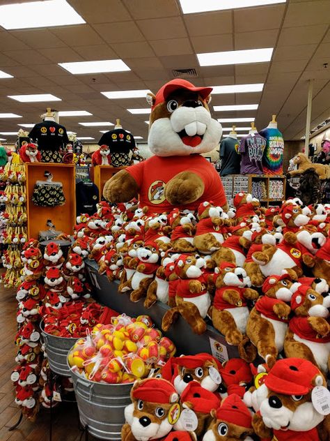 Plush buc-ee beavers at Buc-ee's convenience store located between Houston and Austin Texas Buccees Aesthetic, Texas Things, Houston Texas Bucket List, Buccees Birthday Party, Buc Ee's, Bucees Texas, Austin Asthetic, Buc-ees Texas, Texas Baby