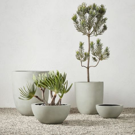 Our Bradford planter offers the beauty of solid stone without the weight. Handcrafted from a composite of fiberglass and clay, it's portable, durable and weather-friendly. White Ceramic Planter, Porcelain Planter, Tall Planters, Large Planters, Indoor Plant Pots, Concrete Planters, Interior Garden, Outdoor Planters, Williams Sonoma