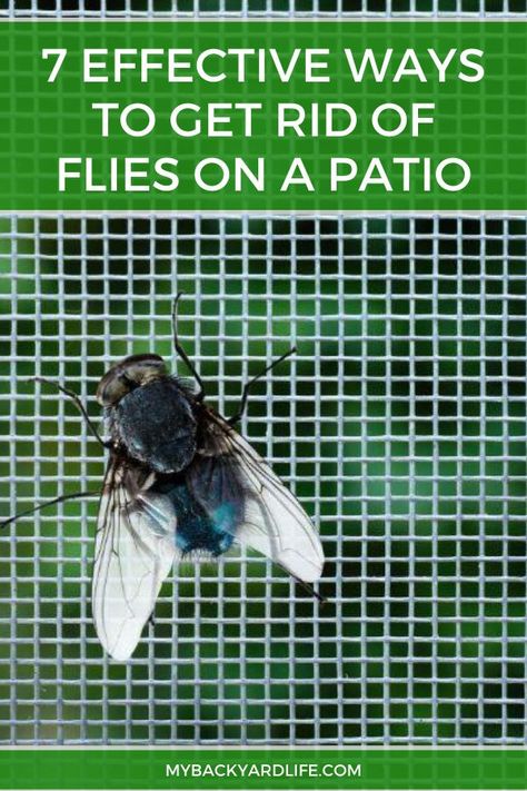 It's a little hard to enjoy your patio time when you have flies buzzing around you and getting in your food. To get rid of flies from your patio, use any of these 7 effective methods. #backyardtips #patio #flies #insects Fly Catcher Diy Outdoor, Natural Ways To Get Rid Of Flies, How To Keep Flies Off Food Outside, Keep Flys Off Porch, How To Repel Flies Outdoors, How To Get Rid Of Flies In Backyard, How To Deter Flies Outside, Repel Flies Outdoors, Keep Flies Out Of House