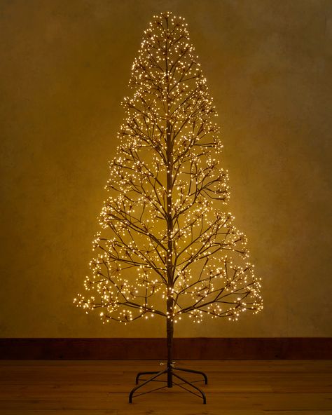 Outdoor Lit Cluster Fairy Starburst Trees | Balsam Hill Outdoor Lighted Christmas Trees, Unique Lighting Ideas, Christmas Outdoor Decor Ideas, Christmas Outdoor Decor, Outdoor Decor Ideas, Artificial Christmas Trees, Outdoor Trees, Decor 2024, Christmas Outdoor