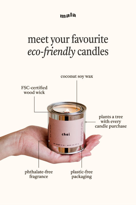 An amazing smelling candle that is non toxic & plants a tree with every purchase.🕯️ Scented Candle Content Ideas, Candle Launch Ideas, Candle Business Marketing, Candle Ads Creative, Candle Promo Ideas, Candle Infographic, Candles Advertising, Candle Marketing Ideas, Candles Marketing