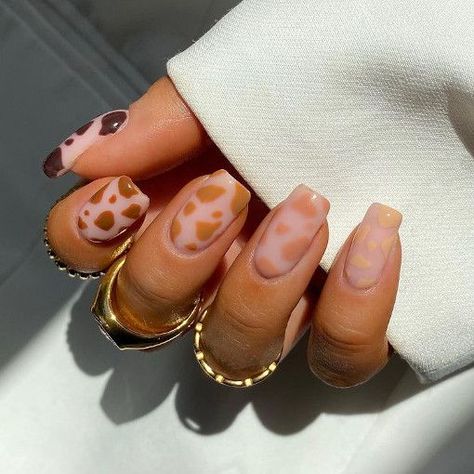 Cow Nail Designs, Cow Print Nails, Fancy Nail Art, Animal Print Nails Art, Western Nails, Cow Nails, Nails Now, Print Nails, Animal Print Nails