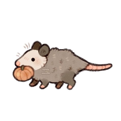 Awesome Possum, Animal Doodles, Cute Rats, Cute Animal Drawings Kawaii, Little Doodles, Cute Doodles Drawings, Cute Doodle Art, Cute Little Drawings, Cute Animal Drawings