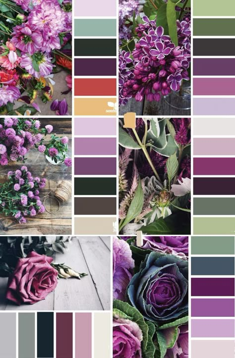 Purple Color Combinations, Color Plan, House Color Palettes, Color Combinations For Clothes, Color Schemes Colour Palettes, Design Seeds, Color Palette Design, Color Balance, Color Inspo