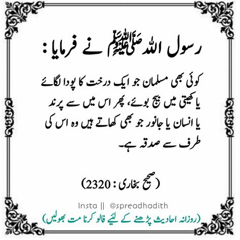 Bukhari Hadees, Hadees Nabvi, Urdu Hadees, Hadees Mubarak, Hadith Of The Day, Islamic Messages, The Day, Quick Saves