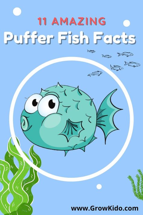 11 Interesting & fun facts about Puffer Fish that will surely be going to surprise you. PufferFish Fact- 2 is the most amazing one. Puffer Fish Craft, Pufferfish Craft, Puffer Fish Art, Fish Facts, Interesting Fun Facts, Scuba Vbs, Ocean Theme Preschool, Animal Report, Calm Corner