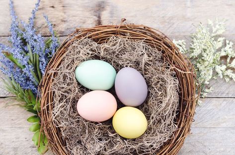 The Meaning Of Easter Colors Relaxing Paint Colors, Coconut Macaroons Easy, Best Bedroom Paint Colors, Coconut Macaroons Recipe, Warm Paint Colors, Easter Quotes, Macaroon Recipes, Kitchen Paint Colors, Best Paint Colors