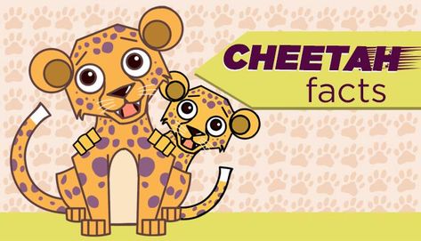 The word cheetah comes from the Sanskrit word “citrakayah” meaning spotted. Cheetahs chirp like birds when communicating with each other. More facts here. Cheetah Facts For Kids, Articles For Kids, Discovery Zone, African Savanna, Baby Cubs, Animals Information, Africa Animals, Safari Birthday Party, Intresting Facts