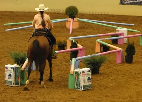 pool noodle for horse riding | Pool Noodle Obstacles « HORSE NATION Obstacle Course Ideas, Horse Training Exercises, Horse Lessons, Horse Arena, Course Ideas, Horse Exercises, Horse Games, Horse Camp, Horse Trail