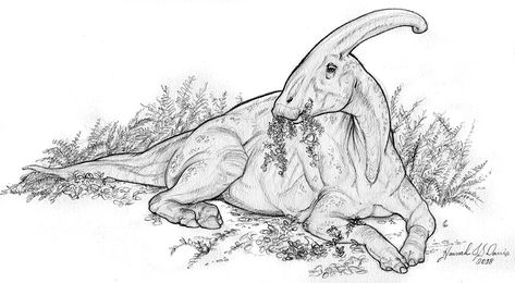 Dinosaur Drawing Ideas, Dino Drawing, Prehistoric Animals Dinosaurs, Ancient Creatures, Dinosaur Sketch, Cool Dinosaurs, Prehistoric Wildlife, Cat Anatomy, Dinosaur Images