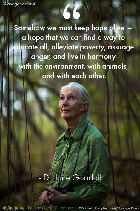 Jane Goodall Quotes, Life Choices Quotes, Jane Goodall, Never Lose Hope, All Animals, Inspirational Quotes For Women, Life Quotes To Live By, Philosophy Quotes, Memories Quotes