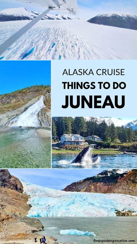 alaska cruise. best things to do in alaska from a cruise ship. best alaska excursions. alaska cruise port. juneau alaska Alaska Excursions, Alaska Cruise Ports, Alaska Cruise Tips, Mendenhall Glacier, Tongass National Forest, Alaska Glaciers, Glacier Bay National Park, Juneau Alaska, Princess Cruise