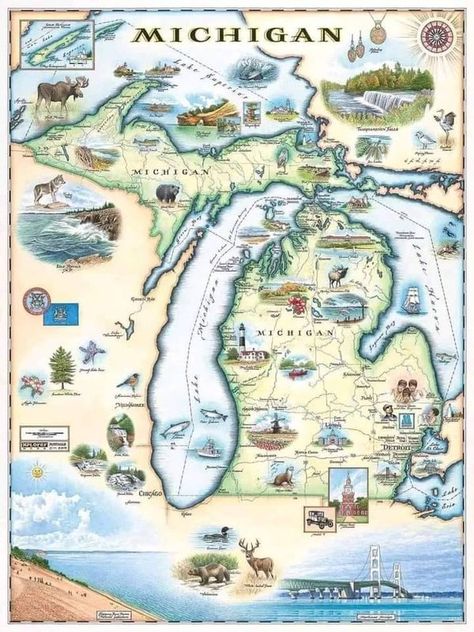 I grew up in Michigan | Originating from the Ojibwe word mishigamaa, meaning “large water” or “large lake”, Michigan was admitted into the union in 1837 as the 26th s... | Facebook Lake Huron Michigan, Map Of Michigan, State Wall Art, Flathead Lake, Hand Drawn Map, Drawn Map, Lake Huron, Illustrated Map, Map Wall Art