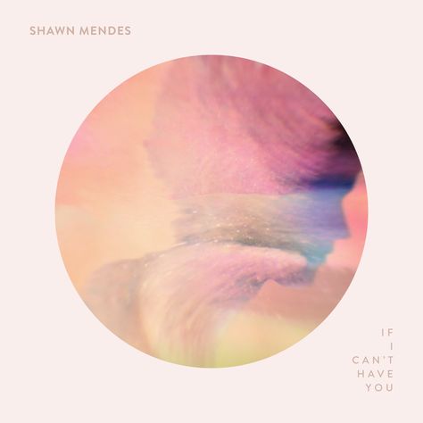 Shawn Mendes, Cover Art, Music, Art