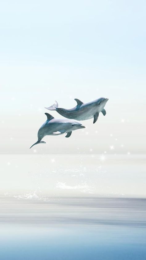 Dolphin Wallpaper Iphone, Wallpaper Surreal, Wallpaper Dolphin, Dolphin Wallpaper, Swimming Dolphins, Aesthetic Mobile, Wallpapers 2023, Animal Collage, Aesthetic Wallpaper Iphone