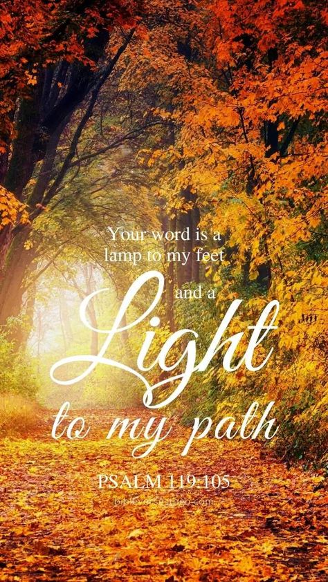 Landscape Christian Phone Wallpaper - Bible Verses To Go Phone Wallpaper Bible, Light To My Path, Bible Verse Wallpaper Iphone, Fall Wallpaper Iphone, Fall Bible Verses, Path Background, Jeremiah 32, Scripture Wallpaper, Christian Fall