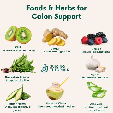 Health Herbs, Healthy Colon, Gut Health Diet, Colon Health, Food Health Benefits, Nourishing Foods, Well Balanced Diet, Herbs For Health, Nutrition Guide