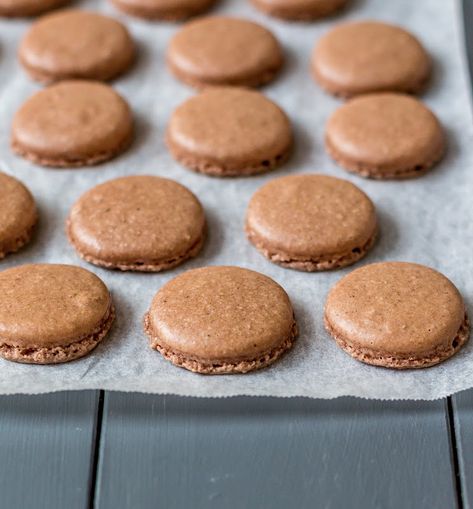 I just can't resist the combination of gingerbread and chocolate.  I guess that's pretty self evident t... Honey Gingerbread, Gingerbread Cookie Recipe, Chocolate Macarons, Ginger Bread Cookies Recipe, Macaroon Recipes, Kinds Of Cookies, Bakery Desserts, Gingerbread Cookie, Cookie Box