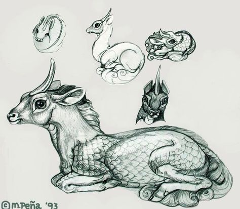 melody pena Fantastic Beasts Qilin, Fantastic Beasts Creatures, Mythical Monsters, Harry Potter Drawings, Fairytale Illustration, Animal Sketches, Harry Potter Fantastic Beasts, Creature Concept, Magical Creatures