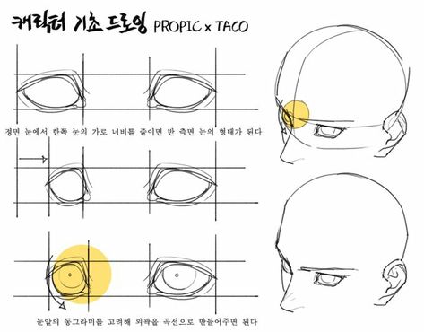 Taco Anatomy, How To Draw Anime, 얼굴 드로잉, Anatomy Tutorial, 얼굴 그리기, Manga Drawing Tutorials, Human Anatomy Art, Anatomy Sketches, Draw Anime