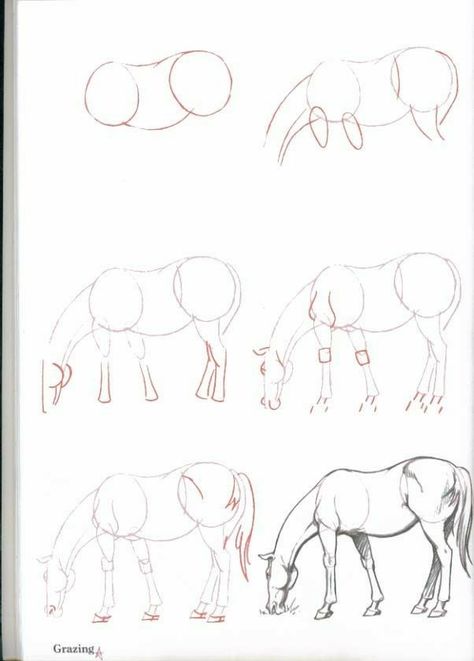 Horse Drawing Tutorial, Horse Art Drawing, Horse Sketch, Drawing Lesson, Horse Drawing, Horse Drawings, Pencil Art Drawings, Learn How To Draw, Horse Painting