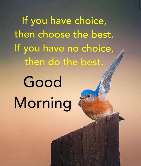 Instant Motivation, Nice Messages, Funny Good Morning Images, Daily Wishes, Good Morning Massage, Quotes Morning, Quotes Good Morning, Morning Sweetheart, Morning Mantra