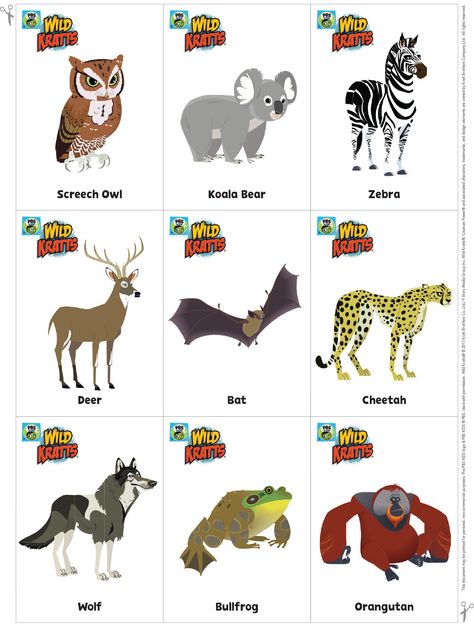 Go Wild Card Game | Wild Kratts (+TS + coll) Wild Kratts Pinata, Wild Kratts Birthday Party Games, Wild Kratts Coloring Pages, Wild Kratts Animals, Perfumes Caravan, Wild Kratts Birthday Party, Wild Kratts Party, Fathers Day Coloring Page, Wild Kratts