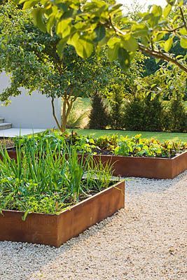 Moderne Have, Vegetable Garden Beds, Raised Vegetable Gardens, Gravel Garden, Veg Garden, Garden Photography, Front Yard Garden, Garden Boxes, Veggie Garden