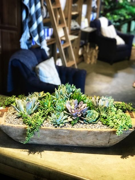 Large succulent arrangement made in a bread/dough bowl.  For me, larger arrangements are actually easier and quicker to make! Tall Succulent Arrangements, Large Succulent Arrangements Indoor, Large Succulent Arrangements, Succulent Dough Bowl, Dough Bowl Centerpiece Succulents, Fake Succulent Arrangements, Dish Garden Ideas, Dough Bowl With Succulents, Big Succulent Arrangement