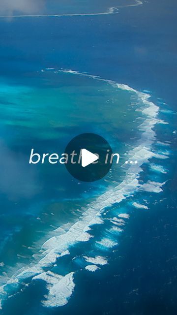 National Geographic on Instagram: "De-stress with a breath as deep as the ocean 😮‍💨 Find out more about the benefits of sound meditation at the link in our bio." Breath Meditation, Ocean Meditation, Sound Meditation, National Geographic, Sound, Meditation, Instagram