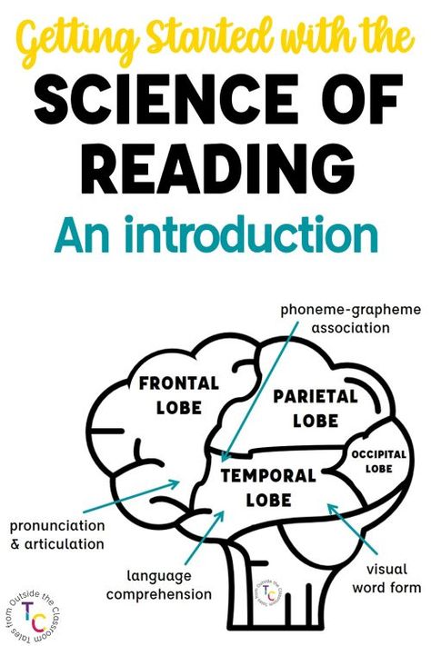 Hearing the Science of Reading but not sure what it is? This blog series gives an easy to digest introduction to the science behind effective reading and what we can do to ensure our students become strong, effective readers! Take a read at the introduction to SOR and sign up to receive all of the posts in the series to your email. Science Of Teaching Reading, Phonics Assessments, Teaching Reading Skills, Kindergarten Word Families, Structured Literacy, First Grade Phonics, The Science Of Reading, Reading Curriculum, Phonics Instruction