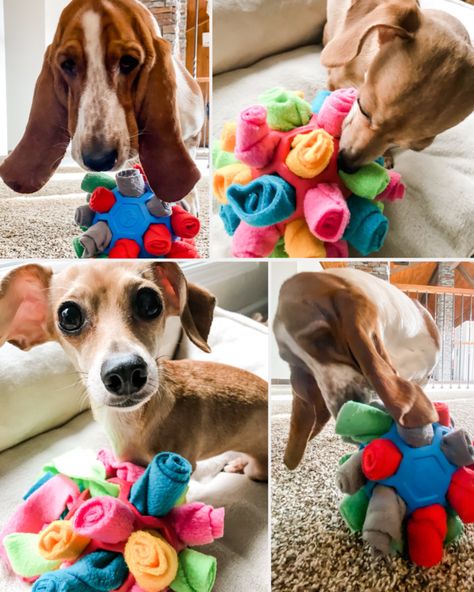 DIY Sniff & Snuffle Pup Star Snuffle Ball, Puppy Crafts, Homemade Dog Toys, Pet Crafts, Puppy Diy, Game Diy, Snuffle Mat, Healthy Dog Treats Homemade, Brain Game