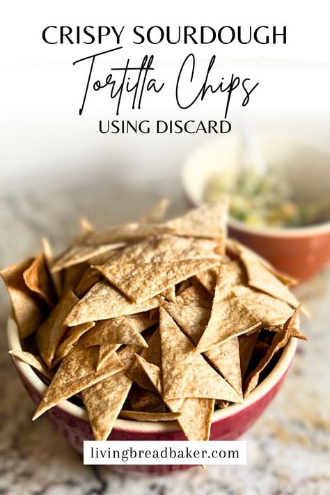 Transform your sourdough discard into a delicious and crispy snack with these Sourdough Baked “Tortilla Chips”!  Perfect for dipping into your favorite salsa, guacamole, or enjoying on their own, these sourdough tortilla chips are easy to make and even easier to eat! Leftover Tortillas, Tortilla Chip Recipe, Baked Tortilla Chips, Homemade Tortilla, Homemade Tortilla Chips, Homemade Tortillas, Sourdough Baking, Chips Recipe, How To Make Homemade